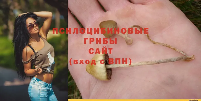 mega онион  Иркутск  Псилоцибиновые грибы MAGIC MUSHROOMS  цена наркотик 